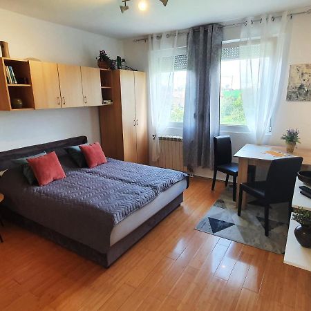 Apartman 64 - Besplatan Parking Za Goste 노비사드 외부 사진